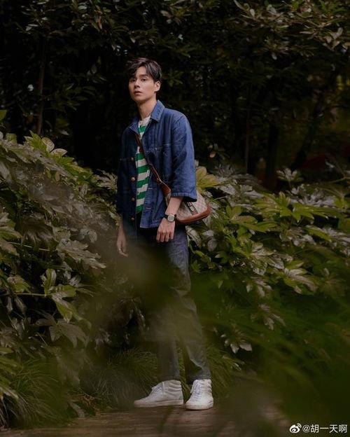 胡一天吃瓜娱乐,揭秘明星幕后趣事